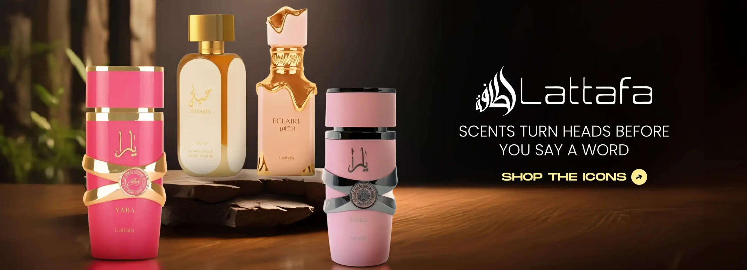 Acceuil h 52 Frame 137 copy scaled